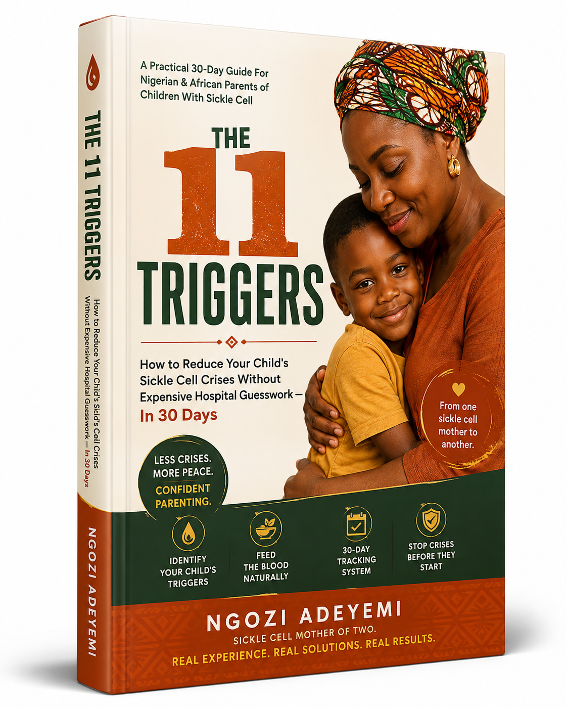 The 11 Triggers PDF Guide Mockup